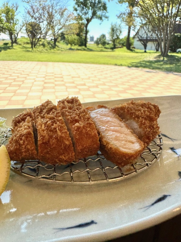 ファームリンク金星屋のロースカツ定食