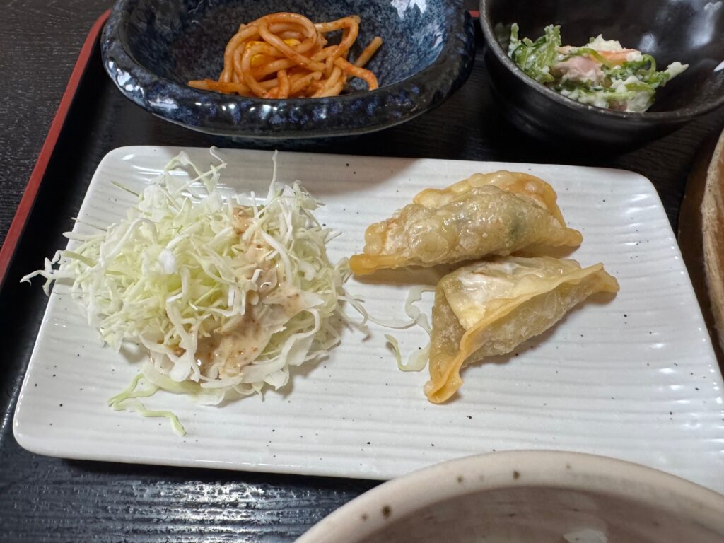 サクサク食感の揚げ餃子|焼とり花串のお得ランチメニュー