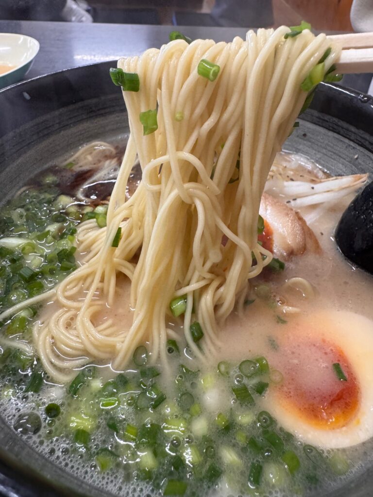 天隆佐賀南店の高木瀬らーめんの麺。豚骨スープによく絡む細麺