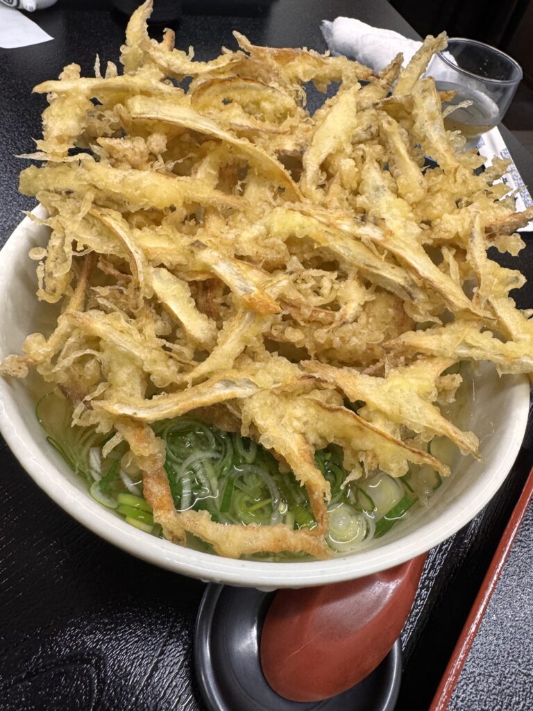 肥前うどん翔のゴボウ天うどん